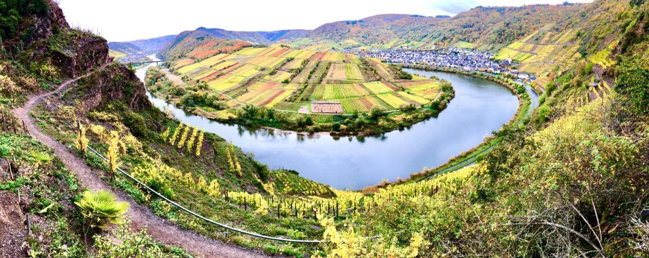 Haus Am Ufer Mit Rheinpanoramablick Appartement Koblenz  Buitenkant foto