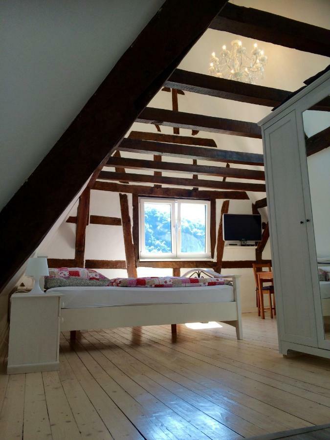 Haus Am Ufer Mit Rheinpanoramablick Appartement Koblenz  Buitenkant foto